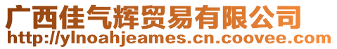 廣西佳氣輝貿易有限公司