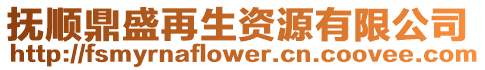 撫順鼎盛再生資源有限公司