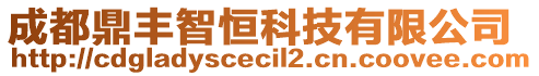 成都鼎豐智恒科技有限公司