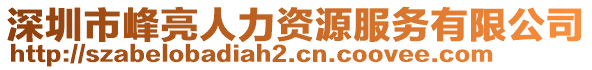 深圳市峰亮人力資源服務(wù)有限公司