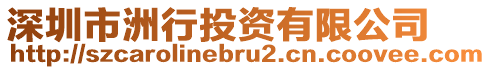 深圳市洲行投資有限公司