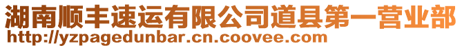 湖南順豐速運有限公司道縣第一營業部