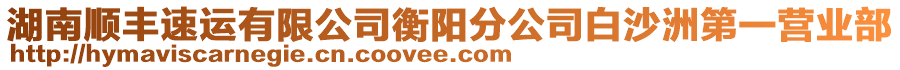 湖南順豐速運(yùn)有限公司衡陽(yáng)分公司白沙洲第一營(yíng)業(yè)部