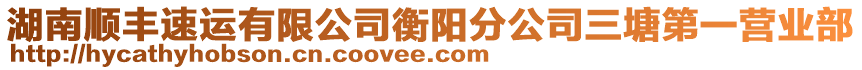 湖南順豐速運有限公司衡陽分公司三塘第一營業(yè)部