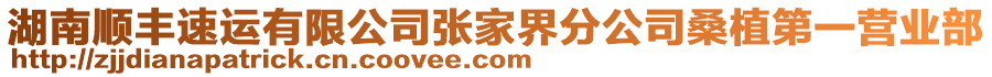 湖南順豐速運有限公司張家界分公司桑植第一營業(yè)部