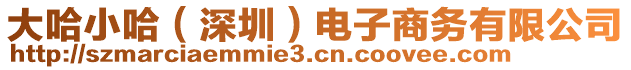 大哈小哈（深圳）電子商務(wù)有限公司