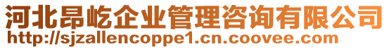 河北昂屹企業(yè)管理咨詢有限公司