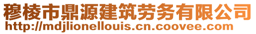 穆棱市鼎源建筑勞務(wù)有限公司