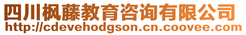 四川枫藤教育咨询有限公司