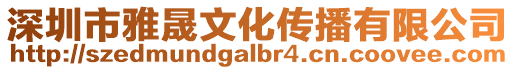 深圳市雅晟文化傳播有限公司