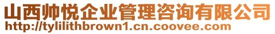 山西帥悅企業管理咨詢有限公司
