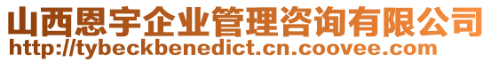 山西恩宇企業(yè)管理咨詢有限公司