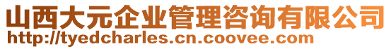 山西大元企業(yè)管理咨詢有限公司