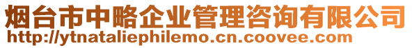 煙臺市中略企業管理咨詢有限公司