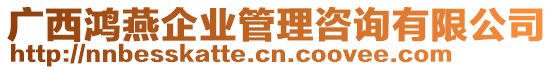 廣西鴻燕企業(yè)管理咨詢有限公司