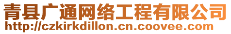 青縣廣通網(wǎng)絡(luò)工程有限公司