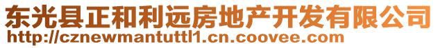 東光縣正和利遠房地產開發有限公司