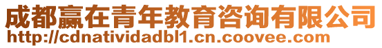 成都赢在青年教育咨询有限公司