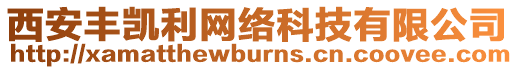 西安豐凱利網絡科技有限公司