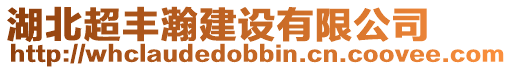 湖北超豐瀚建設有限公司