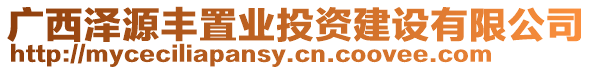 廣西澤源豐置業投資建設有限公司