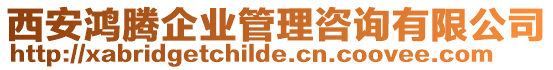 西安鴻騰企業管理咨詢有限公司