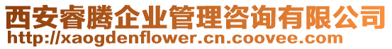 西安睿騰企業(yè)管理咨詢有限公司