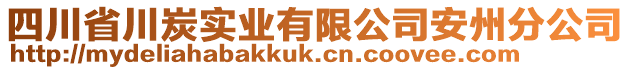 四川省川炭實(shí)業(yè)有限公司安州分公司