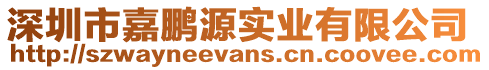 深圳市嘉鵬源實業有限公司