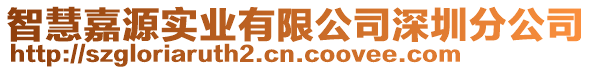 智慧嘉源實業有限公司深圳分公司