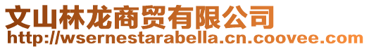 文山林龍商貿有限公司