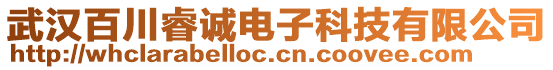 武漢百川睿誠電子科技有限公司