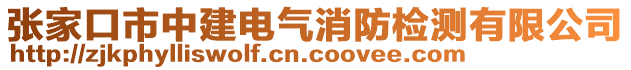 張家口市中建電氣消防檢測(cè)有限公司