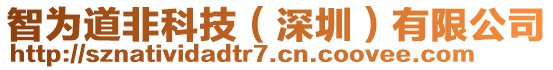 智為道非科技(深圳)有限公司