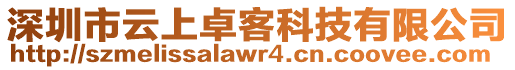 深圳市云上卓客科技有限公司