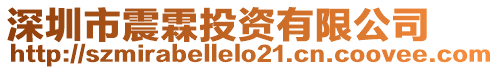深圳市震霖投資有限公司