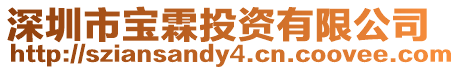 深圳市寶霖投資有限公司