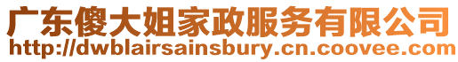 廣東傻大姐家政服務(wù)有限公司