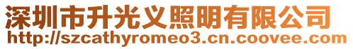 深圳市升光義照明有限公司