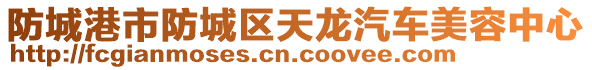 防城港市防城區(qū)天龍汽車(chē)美容中心