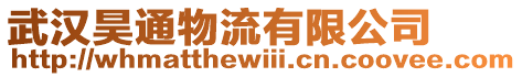 武漢昊通物流有限公司