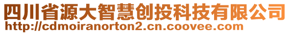 四川省源大智慧創(chuàng)投科技有限公司