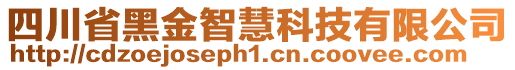 四川省黑金智慧科技有限公司