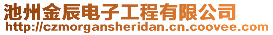池州金辰電子工程有限公司
