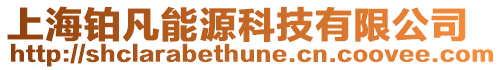 上海鉑凡能源科技有限公司