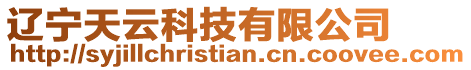 遼寧天云科技有限公司