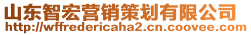 山東智宏營銷策劃有限公司