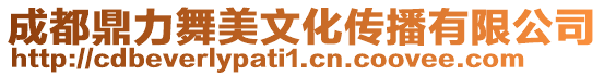 成都鼎力舞美文化傳播有限公司