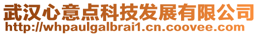 武漢心意點科技發展有限公司