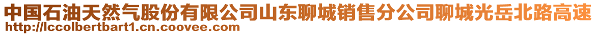 中國石油天然氣股份有限公司山東聊城銷售分公司聊城光岳北路高速
